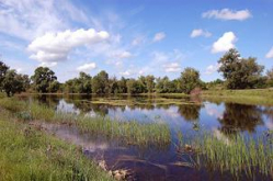 В Волгограде запущена очередная пластинка?