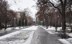 В Волгограде администрации районов и районных МБУ «ЖКХ» будут работать по-новому распорядку
