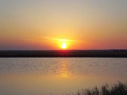 В Волгограде стартует областной фотоконкурс «Волгоградская область в фотообъективе» В Волгограде стартует областной фотоконкурс «Волгоградская область в фотообъективе»