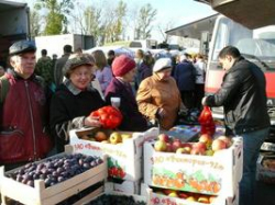 В Волгограде ООО «Областная сельскохозяйственная ярмарка» проиграло дело в суде В Волгограде ООО «Областная сельскохозяйственная ярмарка» проиграло дело в суде