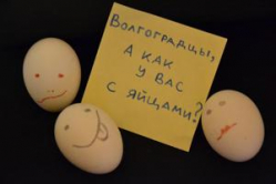 У волгоградцев с яйцами пока еще все благополучно У волгоградцев с яйцами пока еще все благополучно