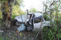 В Волгоградской области молодой водитель разбился, врезавшись в дерево