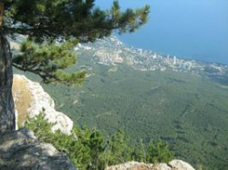 «Единые» билеты до Крыма начали продавать в Волгограде