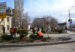 В центре Волгограда «поселились» медведи