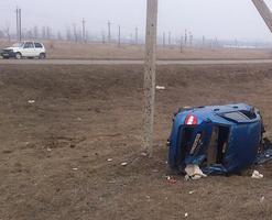 В авариях на волгоградских дорогах пострадали 11 человек и один лось