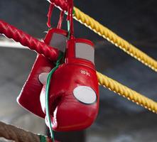 Волгоградец наказал компанию шумных соседей нокаутом