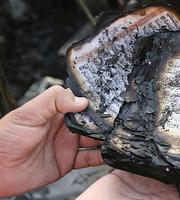 Под Волгоградом 40-летний ревнивец сжег все документы и вещи жены