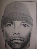 Полиция ищет хулигана, устроившего стрельбу в троллейбусе Волгограда