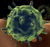 В Волгограде растет число заболевших гриппом группы А