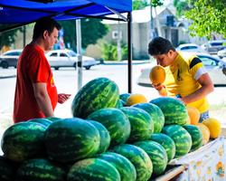 В Волгоградской области открылся сезон торговли арбузами
