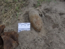 При взрыве боеприпаса на железнодорожной станции Абганерово пострадали 5 человек При взрыве боеприпаса на железнодорожной станции Абганерово пострадали 5 человек