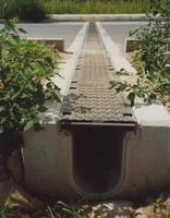 Гром не грянет — чиновник не пошевелится 