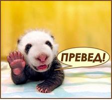 А вы его, губернатора Бровко, объявите жидомасоном…