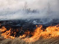 В Волгоградской области бушует крупный ландшафтный пожар В Волгоградской области бушует крупный ландшафтный пожар
