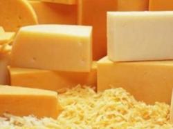 Россельхознадзор: почти 80% сыра в РФ – фальсификат Россельхознадзор: почти 80% сыра в РФ – фальсификат