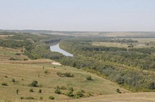 Крик души волгоградцев: в городе катастрофически исчезают лесные земли Крик души волгоградцев: в городе катастрофически исчезают лесные земли