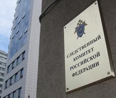 СКР проводит проверку по факту нападения львенка на маленького ребенка СКР проводит проверку по факту нападения львенка на маленького ребенка